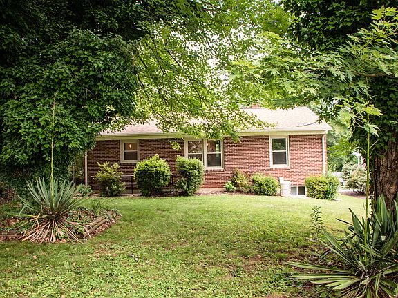 Shady, level backyard