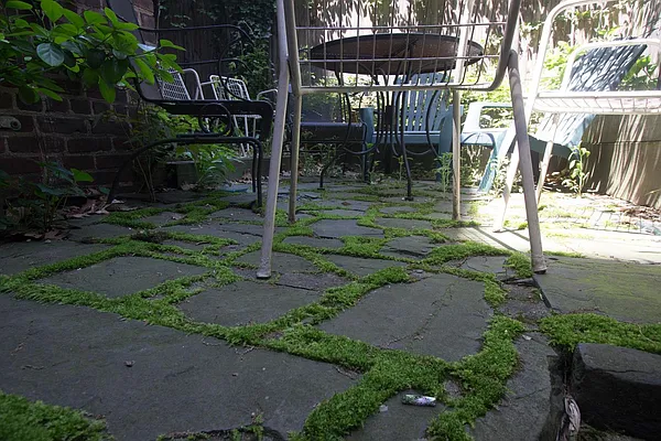 Rented by Maz Group NY | media 40