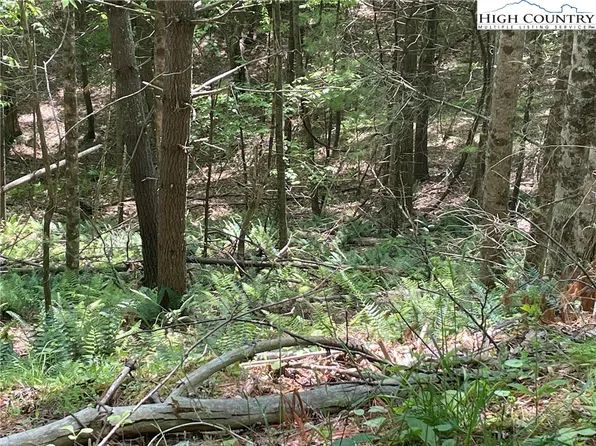 Lots 55 & 57 Meadow Crest Drive, Jefferson, NC 28640