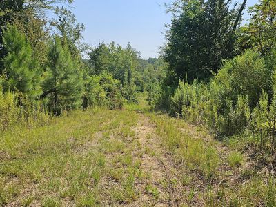 Rathell Rd, Lexington, MS, 39095