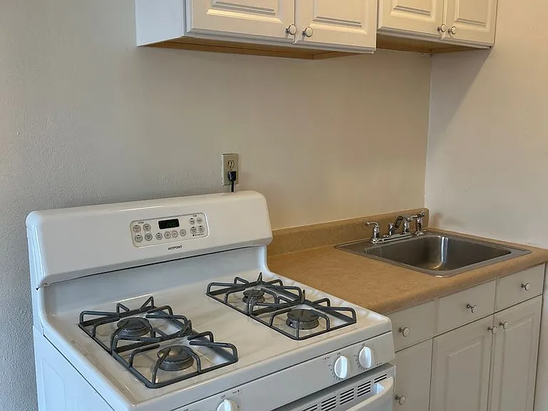 434 Shady Avenue — Photo 24