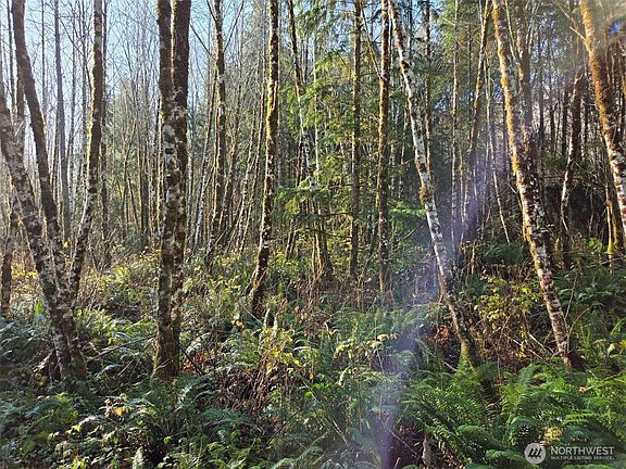 5th image of 0 NKA Fall River Road