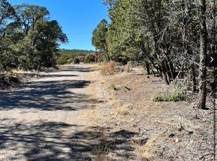 5 Drum Rd, Edgewood, NM 87015