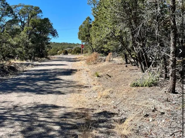 5 Drum Rd, Edgewood, NM 87015