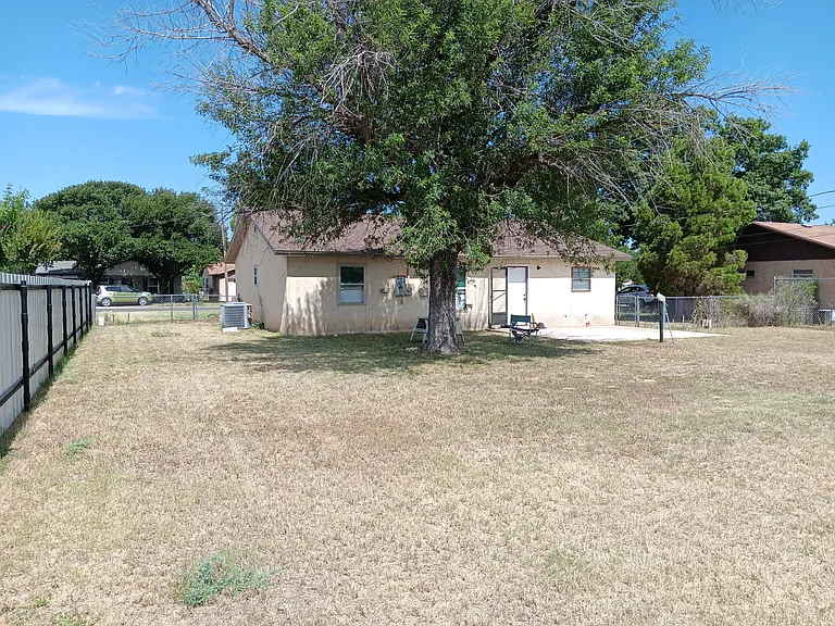 shaded back yard