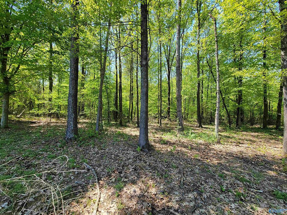 0 E Lake Creek Dr Guntersville, AL, 35976 Apartments for Rent Zillow