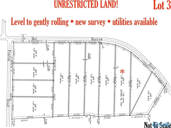 LOT 3 Matt Morrow Rd, Arab, AL 35016