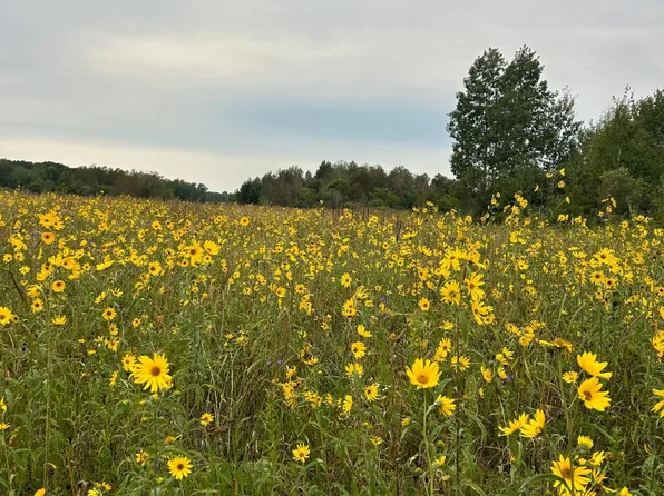 27195 County Road 66, Staples, MN 56479