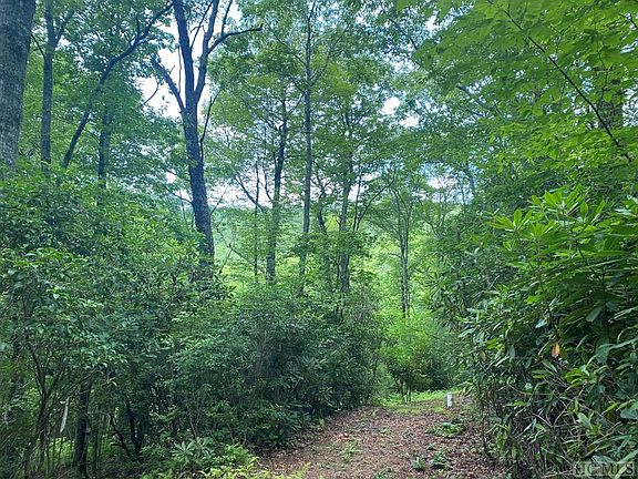4th image of Lot 14 Double Knob Trail
