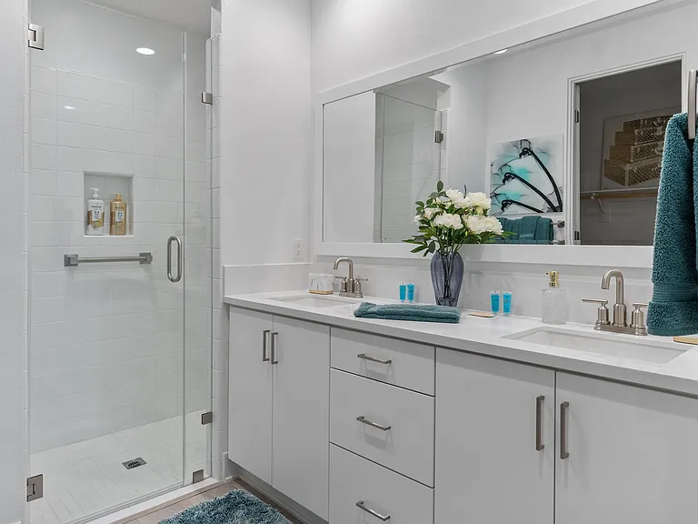Master Suite Bathroom