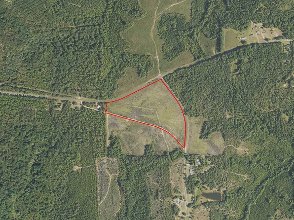 1 Pineville Rd, Buena Vista, GA 31803