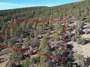 0 Elk Dr, Tierra Amarilla, NM 87575