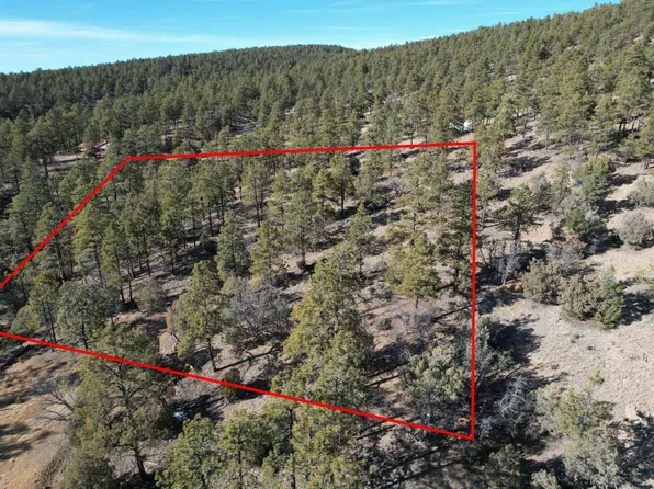 0 Elk Dr, Tierra Amarilla, NM 87575