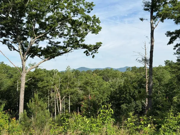 LOT 304 Greenwood Ct, Ellijay, GA 30540