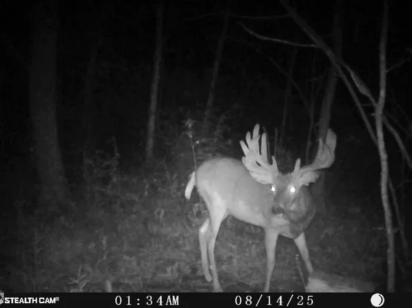 530 335th Ave, Frederic, WI 54837