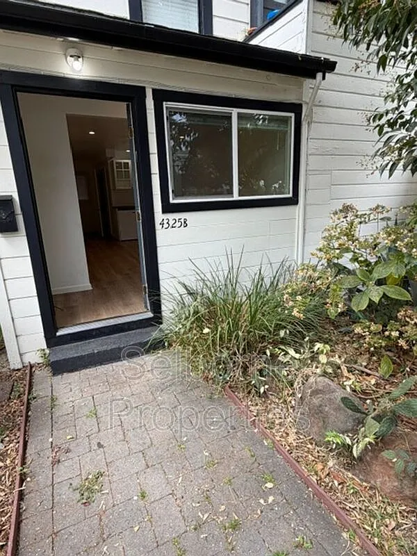 Studio, 1.0 bath, 350 sqft, $1,495 — Photo 2