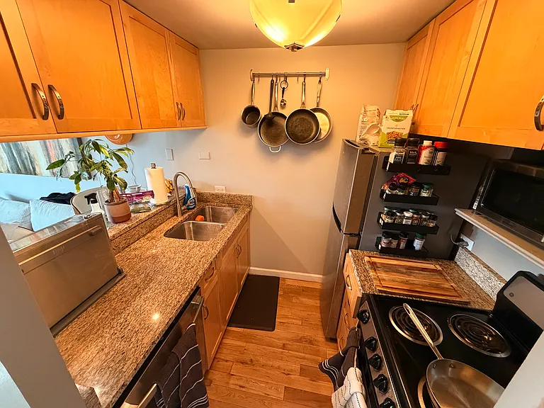 1221 N Dearborn St #411N — Photo 12