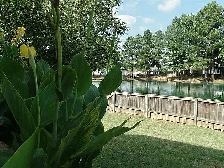3062 Woodland Fern Cv — Photo 11
