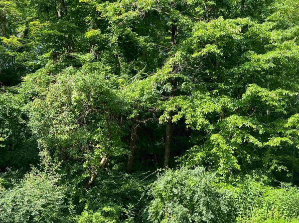 0 Phillips Fork Rd, Camden, WV 26338