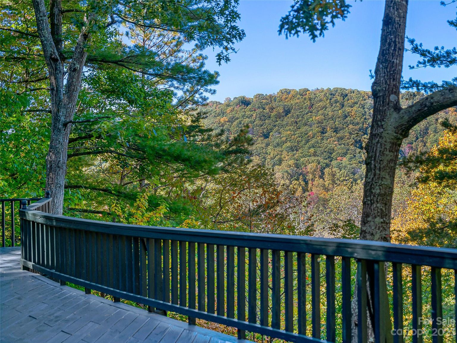 55 Covewood Rd, Asheville, NC 28805 | Zillow