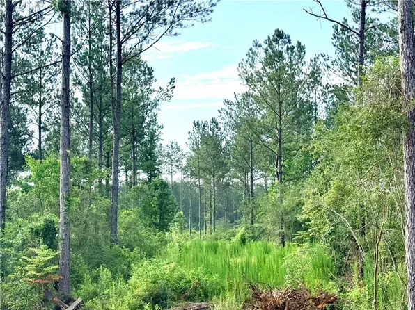 Lot2b 308ac Lee Rd, Franklinton, LA 70438