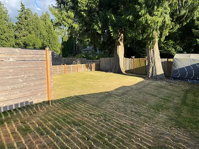 Back yard with privacy fence