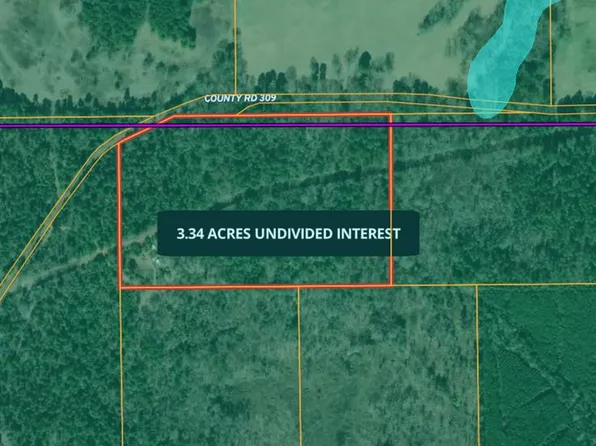 0 An County Rd #309, Frankston, TX 75763