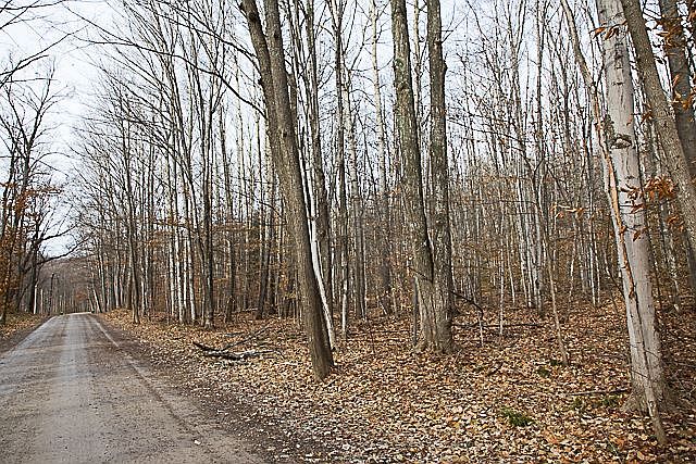 2nd image of Maple Grove Rd