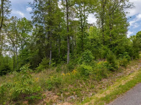 LOT HP22 Old Toccoa Loop, Mineral Bluff, GA 30559