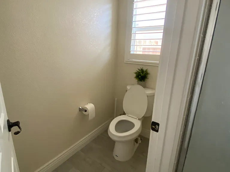 Master bathroom toilet