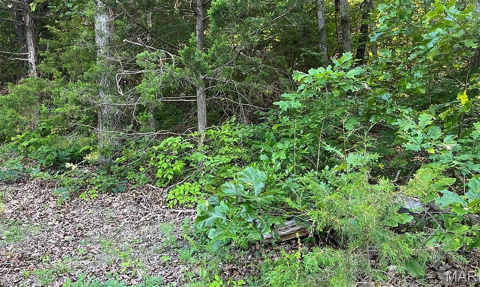 1st image of LOT 824 Woodson Dr