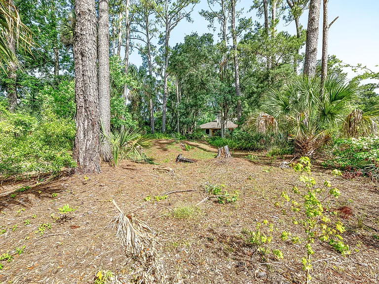 119 Palm Valley Woods Dr — Photo 43