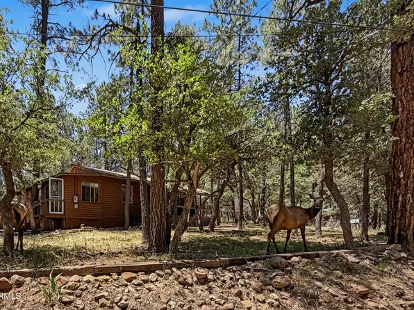 3780 N HUNT Drive, Pine, AZ 85544