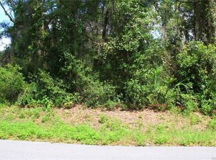 991 N Rooks Ave, Inverness, FL 34453