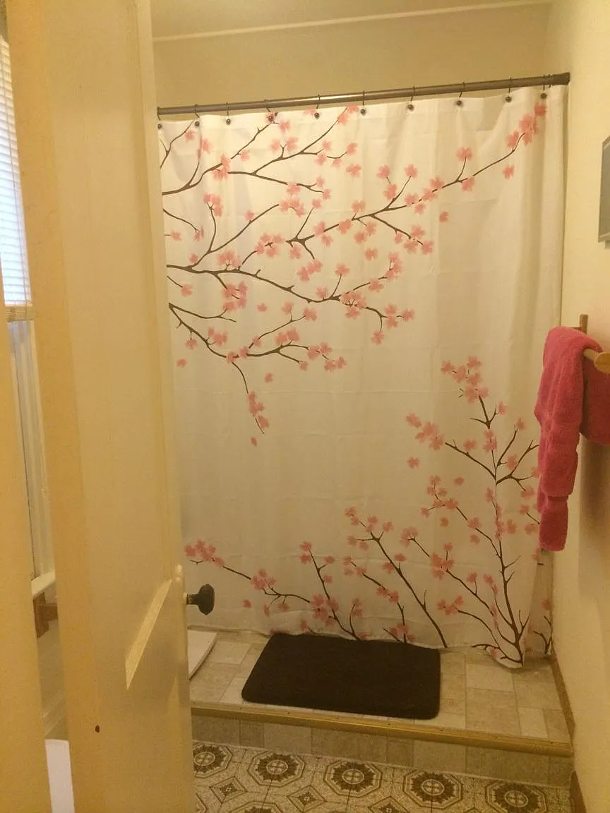 1 bed, 600 sqft, $850 — Photo 4