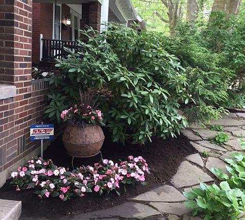 Front landscaping