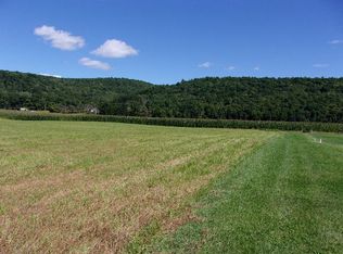 Reservoir Hill Rd, Candor, NY 13743