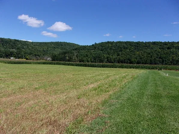 Reservoir Hill Rd, Candor, NY 13743