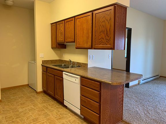 4th image of 1142 17th St N APT 205