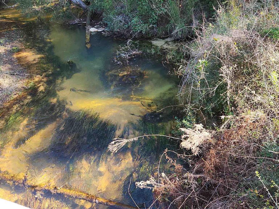 2nd image of Sherwood Forest Dr