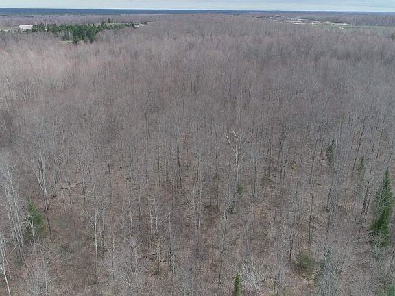 4th image of PARCEL County Road 433 Rd #B