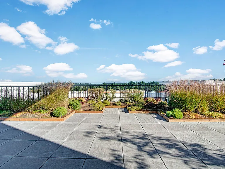 Shared rooftop space wih a green patch and small garden