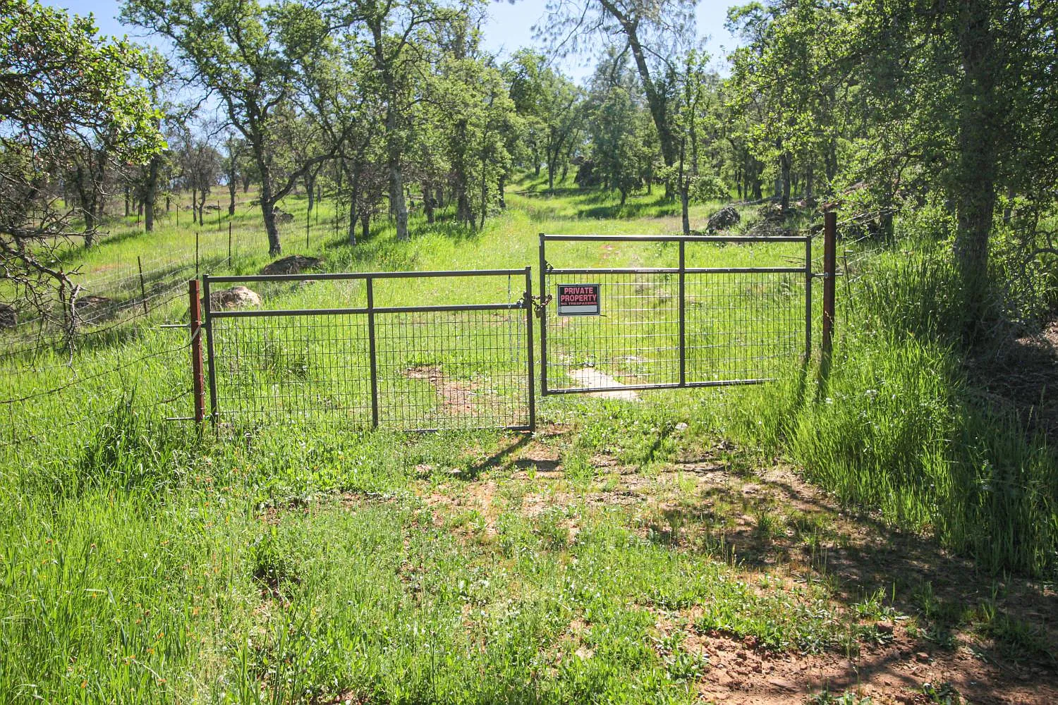746 Arbolada Dr photo 1