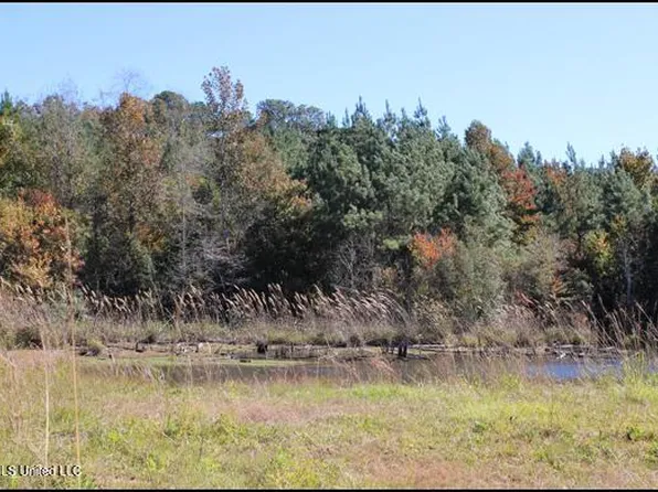 1 Gibson Rd, McComb, MS 39648
