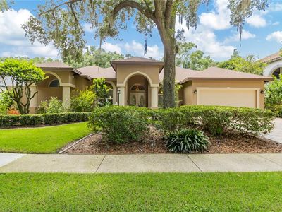 7219 Wareham Dr, Tampa, FL, 33647