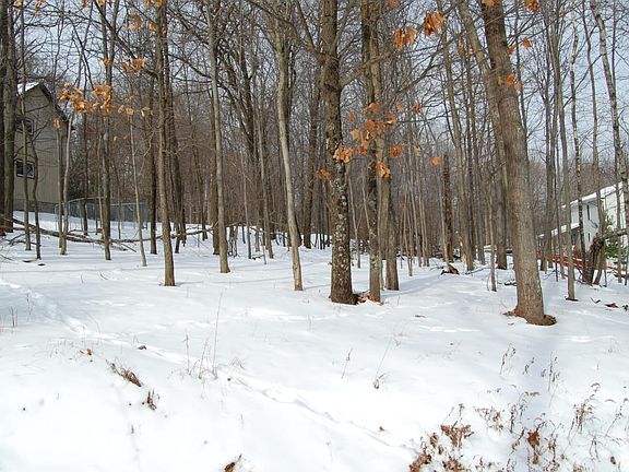4th image of 4139 White Birch Dr