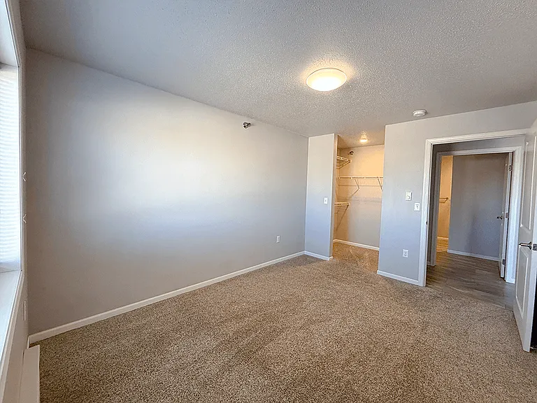 Cozy, Plush Carpeting