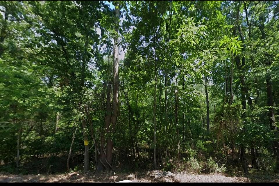 1st image of 0 Stoney Bottom Rd