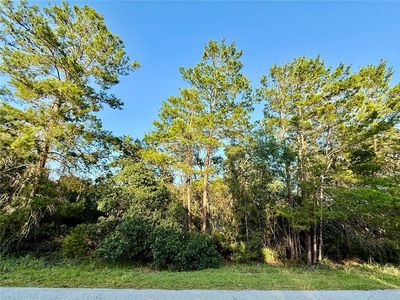 LOT 6 Aspen St LOT 6, Eustis, FL, 32736