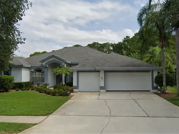 3885 Drayton Way, Palm Harbor, FL 34685